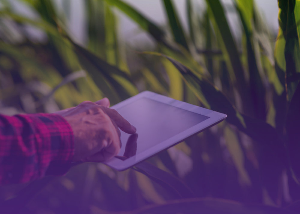 Environmental Management & Sustainability