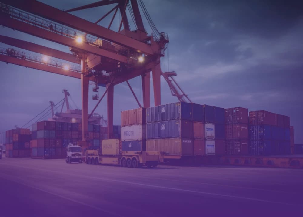 Excellence in Warehouse Management and Operation